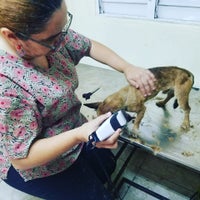 Photo taken at Veterinaria Dra Flaquer by caridad f. on 6/30/2018
