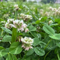 Photo taken at 東山公園拡張部 by Toraneko P. on 5/21/2022