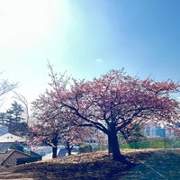 Photo taken at Saigoyama Park by Toraneko P. on 2/18/2024
