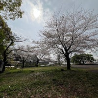 Photo taken at Saigoyama Park by Toraneko P. on 4/8/2024