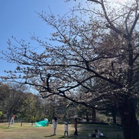Photo taken at Sugekari Park by Toraneko P. on 3/31/2024