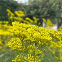 Photo taken at 東山公園拡張部 by Toraneko P. on 8/6/2022