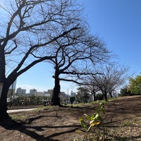 Photo taken at Saigoyama Park by Toraneko P. on 3/20/2024