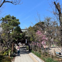 Photo taken at Hatonomori Hachiman Shrine by Toraneko P. on 3/31/2024