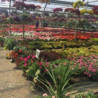 Great Swamp Greenhouses Gillette Nj Photo Taken At Great Swamp Greenhouses By Mike D On 5 23 2017