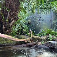 Foto diambil di The Florida Aquarium oleh Lucie K. pada 3/15/2024