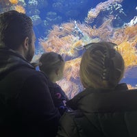 Foto scattata a Long Island Aquarium &amp;amp; Exhibition Center (Atlantis Marine World) da Ken S. il 12/10/2022