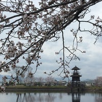 唐古 鍵遺跡史跡公園 磯城郡 唐古50 2 唐古 鍵遺跡史跡公園 磯城郡 唐古50 2
