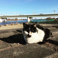 登戸駅多摩川口バス停 多摩区 川崎市 神奈川県