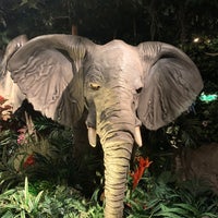 Photo taken at Rainforest Café by Mounia S. on 3/3/2020