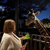 Photo taken at Giraffe African Exhibit by Bill S. on 1/15/2023
