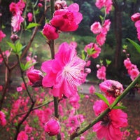 白云山桃花涧 广州 广东