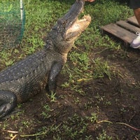 Photo taken at Gators and Ghosts: A New Orleans Tour Company by Leonard C. on 7/13/2015