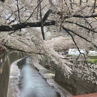 Photo taken at Meguro River Green Road by 大学ポテト on 3/31/2023