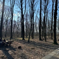 Photo taken at Zvezdarska šuma by Renie L. on 2/3/2024