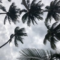 12/26/2017 tarihinde Tana N.ziyaretçi tarafından Pogo Beach Bar and Grill'de çekilen fotoğraf