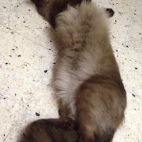 Klinik Haiwan Yuan Pandan Indah Kuala Lumpur
