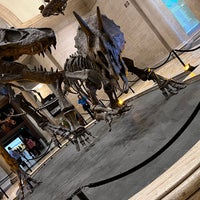 Photo taken at Natural History Museum of Los Angeles County by dorimi (. on 7/5/2023