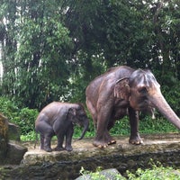 Taman Safari Indonesia Launches Ramadan Themed Activities