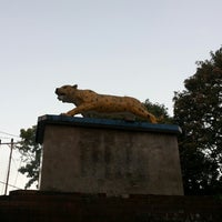 Review Taman Segitiga Macan