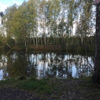 Озеро заводское Белоостров