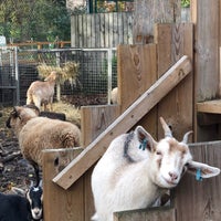 Photo taken at Vauxhall City Farm by Bader on 11/17/2022
