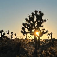 Photo taken at Joshua Tree National Park by Pericles P. on 12/16/2023