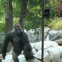 Photo taken at San Diego Zoo by Pericles P. on 2/24/2024