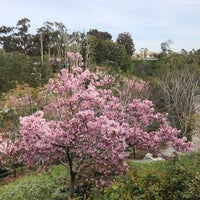 Foto scattata a Japanese Friendship Garden da Soren il 3/18/2023