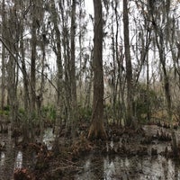 Photo taken at Barataria Preserve by Annie on 12/15/2018