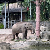 Photo taken at Elephants of Asia by Alan S. on 9/26/2021