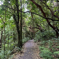 Photo taken at Zealandia Eco-Sanctuary by Alan S. on 12/22/2022