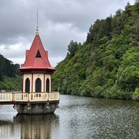 12/22/2022 tarihinde Alan S.ziyaretçi tarafından Zealandia Eco-Sanctuary'de çekilen fotoğraf