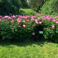 Das Foto wurde bei Holden Arboretum von Jean B. am 6/7/2019 aufgenommen