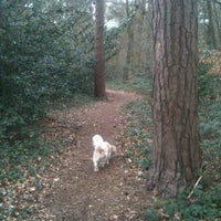 Photo taken at Oxshott Woods by Andrew H. on 4/7/2012