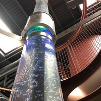 8/21/2018에 Megan C.님이 ECHO Lake Aquarium &amp;amp; Science Center에서 찍은 사진