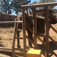 Foto diambil di El Paso Zoo oleh Joshua W. pada 3/17/2018