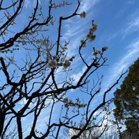 Photo taken at Shinagawa Kumin Park by Ken M. on 2/11/2024