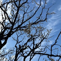 Photo taken at Shinagawa Kumin Park by Ken M. on 2/11/2024