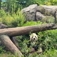 5/6/2024にKen M.が上野動物園で撮った写真