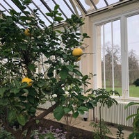 Photo taken at Kew Garden Gallery Of Botanical Art by Vic S. on 2/11/2019