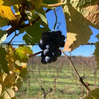 Photo taken at De Loach Winery &amp;amp; Vineyards by Jane S. on 11/7/2021