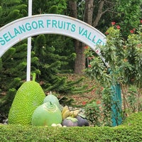 Selangor Fruits Valley Kuala Selangor Selangor