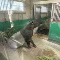Photo taken at Fukuoka City Zoological Garden by aiso on 2/18/2023