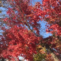 妙義山パノラマパーク Park In 富岡市 妙義山パノラマパーク Park In 富岡市