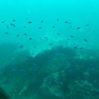 勝浦海中展望塔 Scenic Lookout In 勝浦市 勝浦海中展望塔 Scenic Lookout In 勝浦市