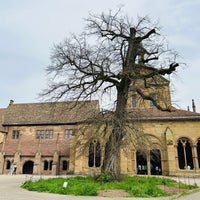 Photo taken at Kloster Maulbronn by Petra M. on 4/7/2024