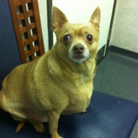 I20 animal medical best sale center