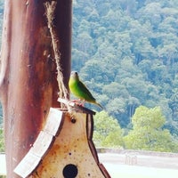 Photo taken at Pousada Terraço de Penedo by Stewart F. on 5/15/2016