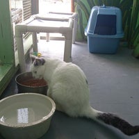 Photo taken at Hawaii Island Humane Society Kona Shelter by &amp;#39;DellaLee G. on 10/23/2014